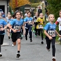 251011 2. Pegnitztallauf Artelshofen 1 Km