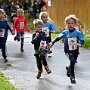 261010 9. Pegnitztallauf Artelshofen Anton W 500 m
